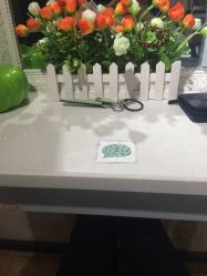 -柯琳造型