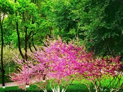 -重庆中央公园(渝北区)