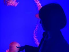 -瑞普利水族馆