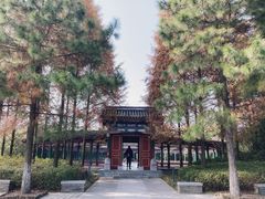 -武汉园博园(武汉自然博物馆)