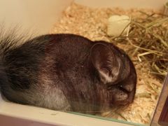 -龙猫仔乐园(惠福东路店)