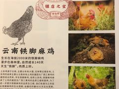 -云海肴·汽锅鸡·云南菜(天津国金汇店)