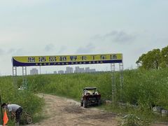 -上海都市菜园