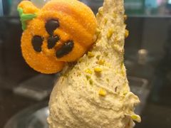-野人先生现做冰淇淋(西安赛格店)