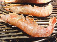 -红小姐的烤肉店(西三旗店)