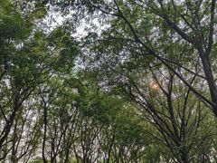 -同里国家湿地公园