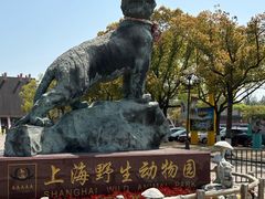 -上海野生动物园
