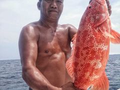 -东姑阿都拉曼海洋公园