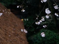 -中国茶叶博物馆(双峰馆区)