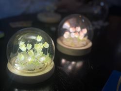 -贝瑞佳月子会所(杭州旗舰店)