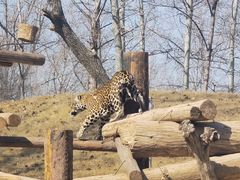 -北京野生动物园