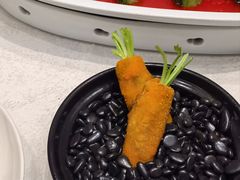 -丁老爷子苏香圆