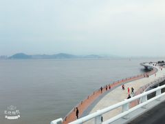 -演武大桥观景平台