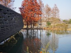 -苏州上方山国家森林公园