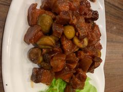 红烧肉-今鲜源大酒店·中华餐饮名店(新湛路店)