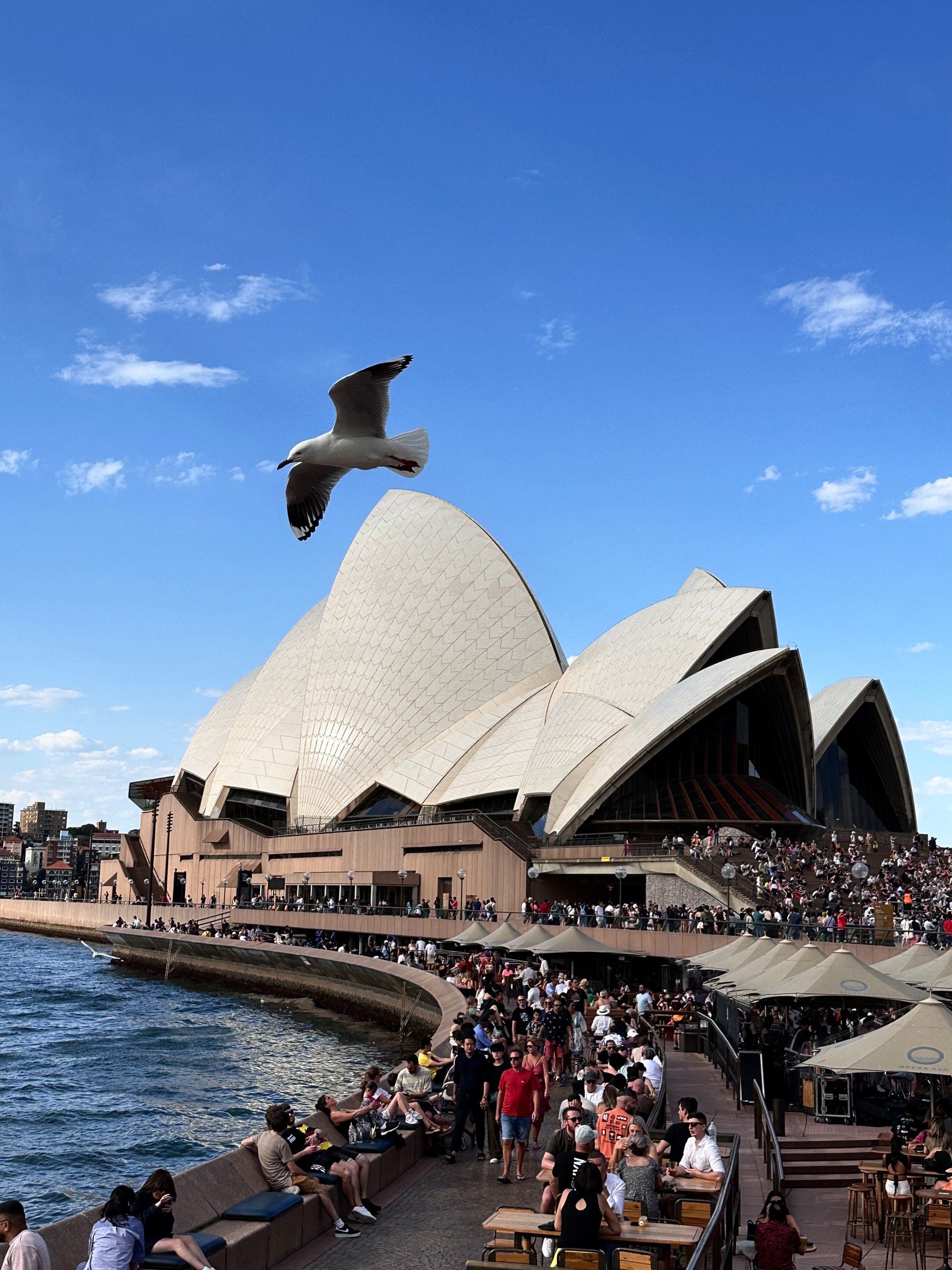 悉尼旅游photo dump