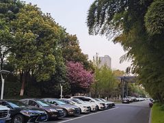 -常州环球恐龙城维景国际大酒店