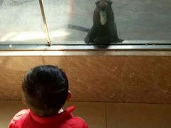 -石家庄市动物园