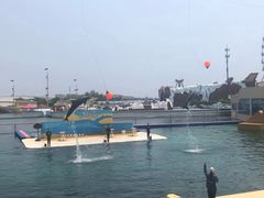 -秦皇岛乐岛海洋王国