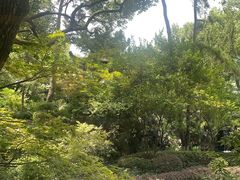 -浙江西子宾馆·瑶园咖啡厅