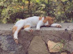 -北京西山国家森林公园