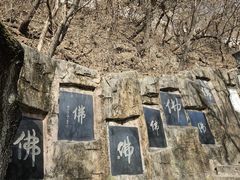 -高尔山公园