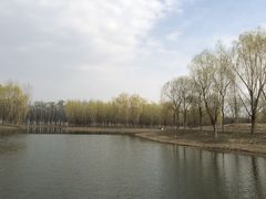 -东郊湿地公园