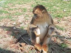 -大连森林动物园