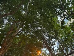 -安福路