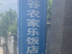 -峡谷农家乐饭店