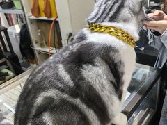 -百金通黄金回收首饰定制维修(珠江路总部)