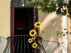 -上海闵行星河湾酒店