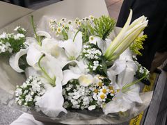 -FEI FEI FLOWER鲜花店·气球派对·宝宝宴布置(虹口德必运动Loft店)