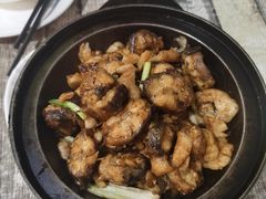 -东鸽皇(奥园·中环广场店)