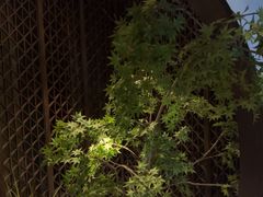 -见康道莱•足浴按摩•艾灸•SPA(友谊店)