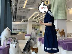 -怪兽屋·羊驼·猫咖·狗咖(俊华广场店)