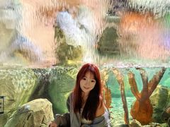 -沈阳海洋探索中心