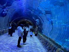 -华夏文旅海洋公园