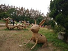 -上海长兴岛郊野公园