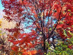 -长春市南湖公园