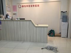 -瑞派康怡24h宠物医院·犬猫医疗中心·微创绝育(瑞景分院)