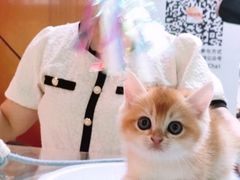 -中粮·祥云小镇
