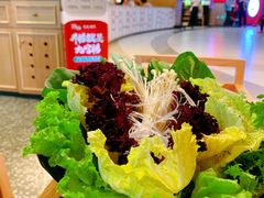 -井格重庆火锅(友谊路新业广场店)