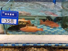 -蓝海大饭店·渔歌舫(黄岛店)
