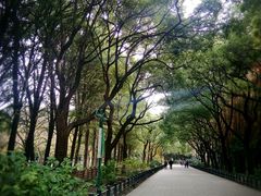 -共青国家森林公园-售票处