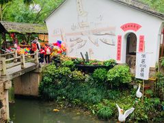 -西溪国家湿地公园