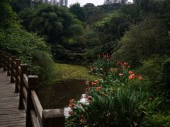 -龙头寺公园