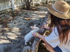 -水上乐园·欢乐世界