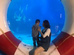 -烟台海昌鲸鲨海洋公园