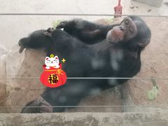 -太原动物园